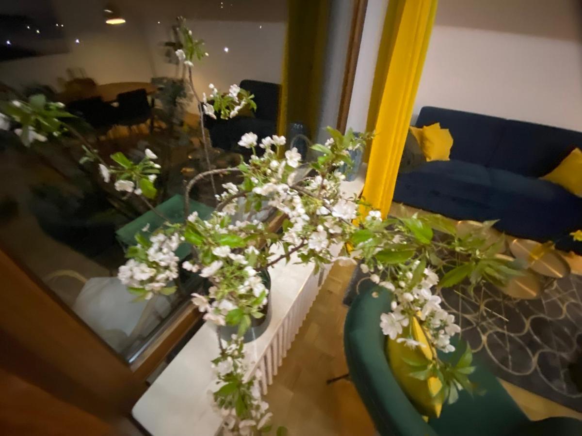 Ferienwohnung Panoramablick - Alpenmagie Suites Όμπερντορφ Εξωτερικό φωτογραφία